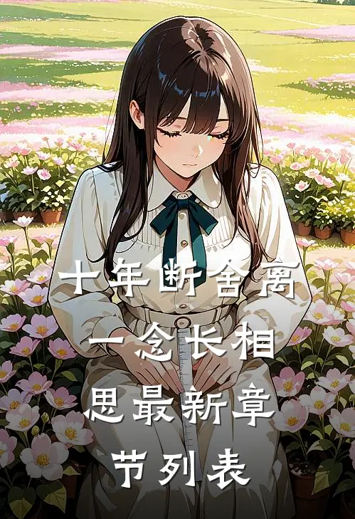 十年断舍离，一念长相思最新章节列表
