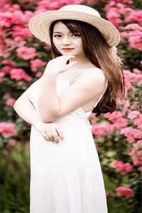 霜风拂过青玉案完结文