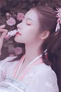 温瓷照星影在线阅读全本阅读