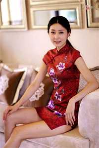 恰逢旧梦又惊鸿短篇