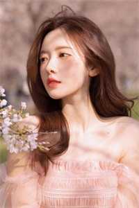 绝字入归鸟爽文