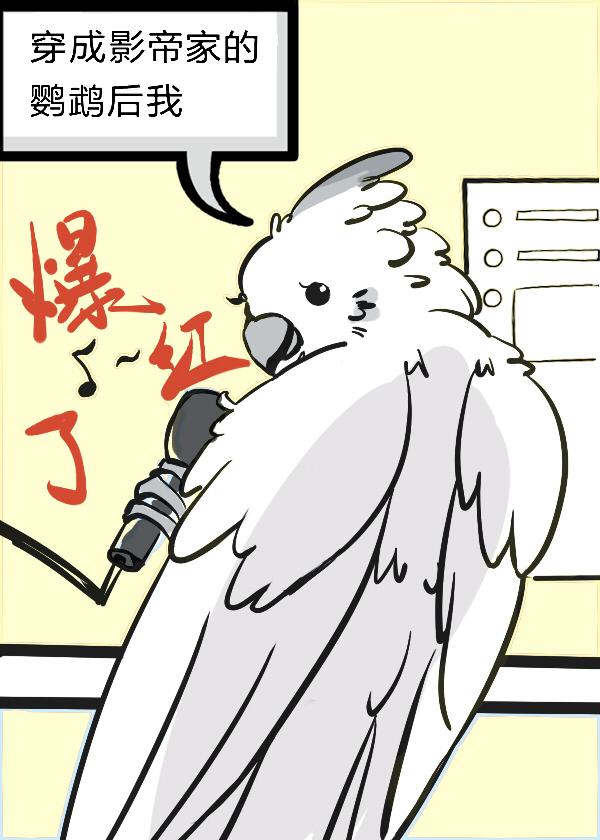 君不识沈牧之齐云英 番外