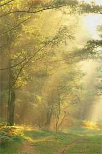 乱世红颜系统？美人们我来了赵十郎苏宛月小说结局