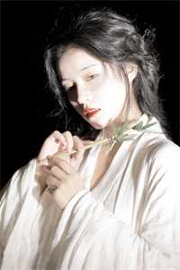 北雁流霜旧人寞完整版