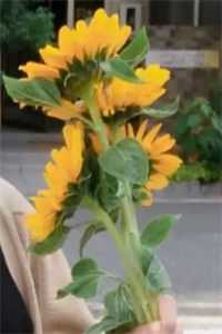 我，送子娘娘编外人员，在古代靠看胎搞疯全家在线看