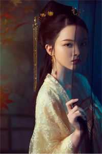 夕落鸿雁送云书全局