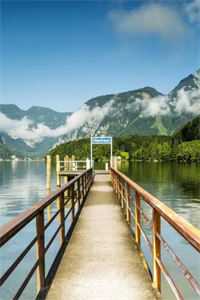 予风予月不予你完结版