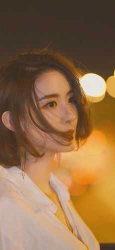 宁毁星光，不负余生前文+