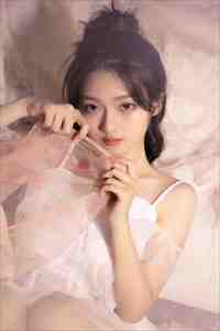 许你一场流星愿前文+