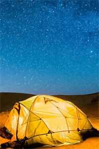 君自北向,我且南行前文+番外