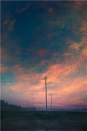 你困夏花，我赴青山火爆小说