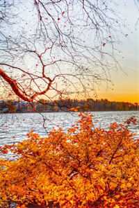 散残梦终将消散质量好文