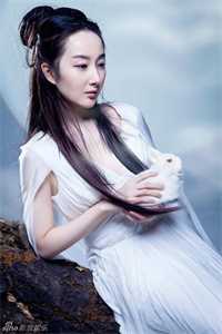 假如我不曾爱过你完结文