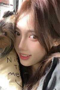 真情躲不开！陛下天天求偶遇无弹窗