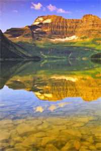 许你一场流星愿小说全文免费阅读