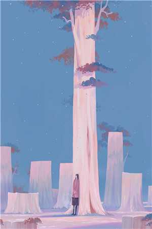 风月难相逢，从此不相关小说