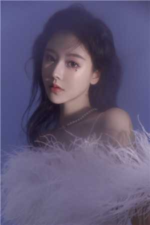 风月难相逢，从此不相关完结版