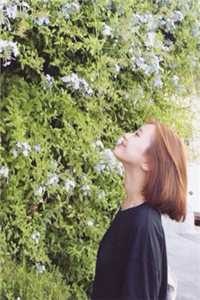 那年所愿空如梦未删减版