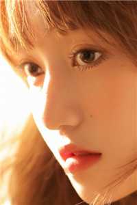 风月难相逢，从此不相关全文+免费