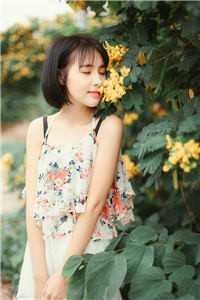 女友为竹马扮兔女郎，我转身和青梅结婚沈沐晗谢时安番外