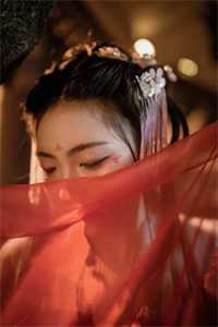 听棠落尽星未眠林棠星林亦月全局