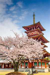 中年被老婆离婚，我包养黑丝女神后续+完结