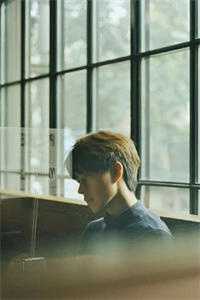 清风入怀却无你前文+