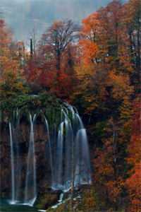 等不到盛开的年华高口碑