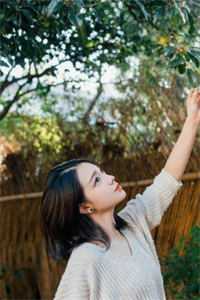 胎停之后，我把闺蜜送我的骨灰项链送给了狗小说全文免费阅读