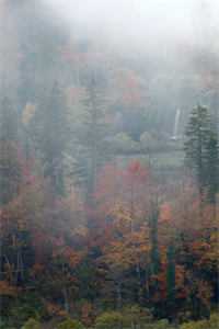 夫君背着我生儿育女，我成全离开后他又不乐意了小说大结局