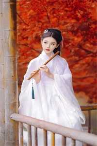 摆烂后，渣男前夫被虐哭了无弹窗