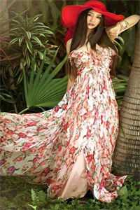 风月难相逢，从此不相关已完结版