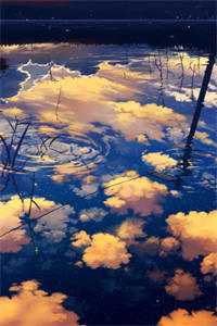 新领导上任，将我的月工资从12000降至6000精选