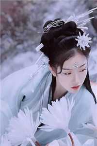 越过高山终见晨光火爆小说