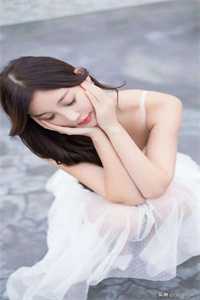 南鸿落雪故梦晚全球完整文集