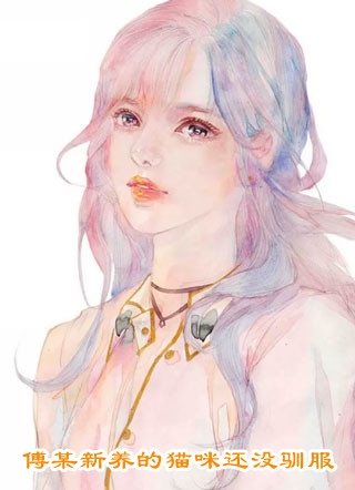 风起时，花落无声目录