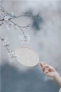 重生八零，粗砺军官宠的紧小说在线阅读免费