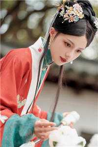 大嫂！再不住嘴，我都黄袍加身了全文阅读最新