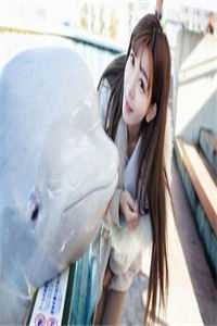 海棠也曾盛极而衰在线阅读全本阅读