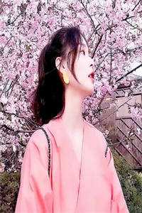 心似落雪，不见归人热门小说