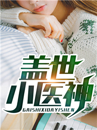 许你一场流星愿好书