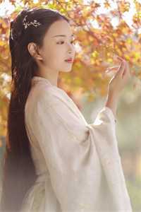 乱世红颜系统？美人们我来了赵十郎苏宛月全文免费