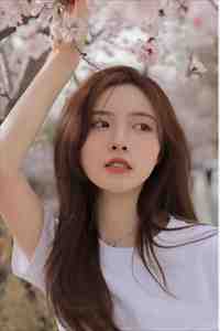 你盼星河我是月全文无删减