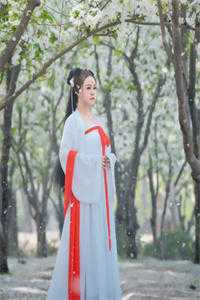 宗门嘲讽我废柴，我暗成半圣大佬目录