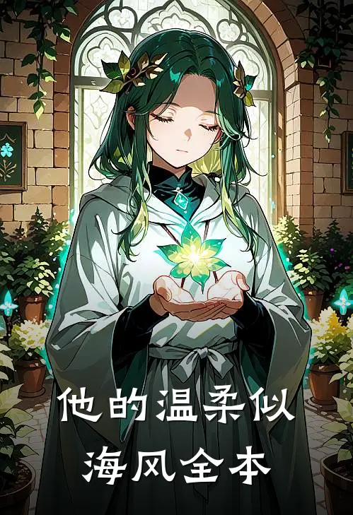 他的温柔似海风全本