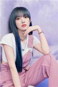 应是她一袭春风已完结版