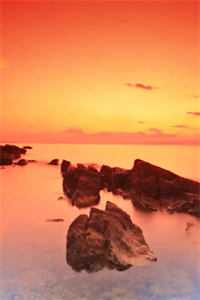 夫君背着我生儿育女，我成全离开后他又不乐意了爽文