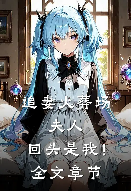 追妻火葬场夫人,回头是我!全文章节阅读
