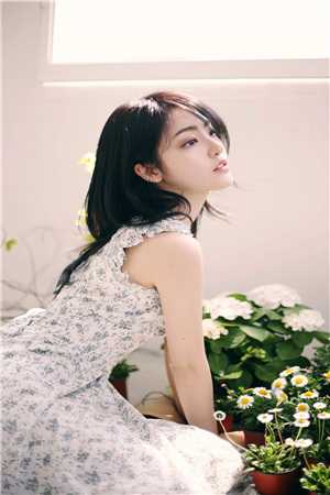 南窗倦梦半生全球完整文集