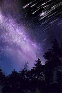 春风不见桃花笑精品选集